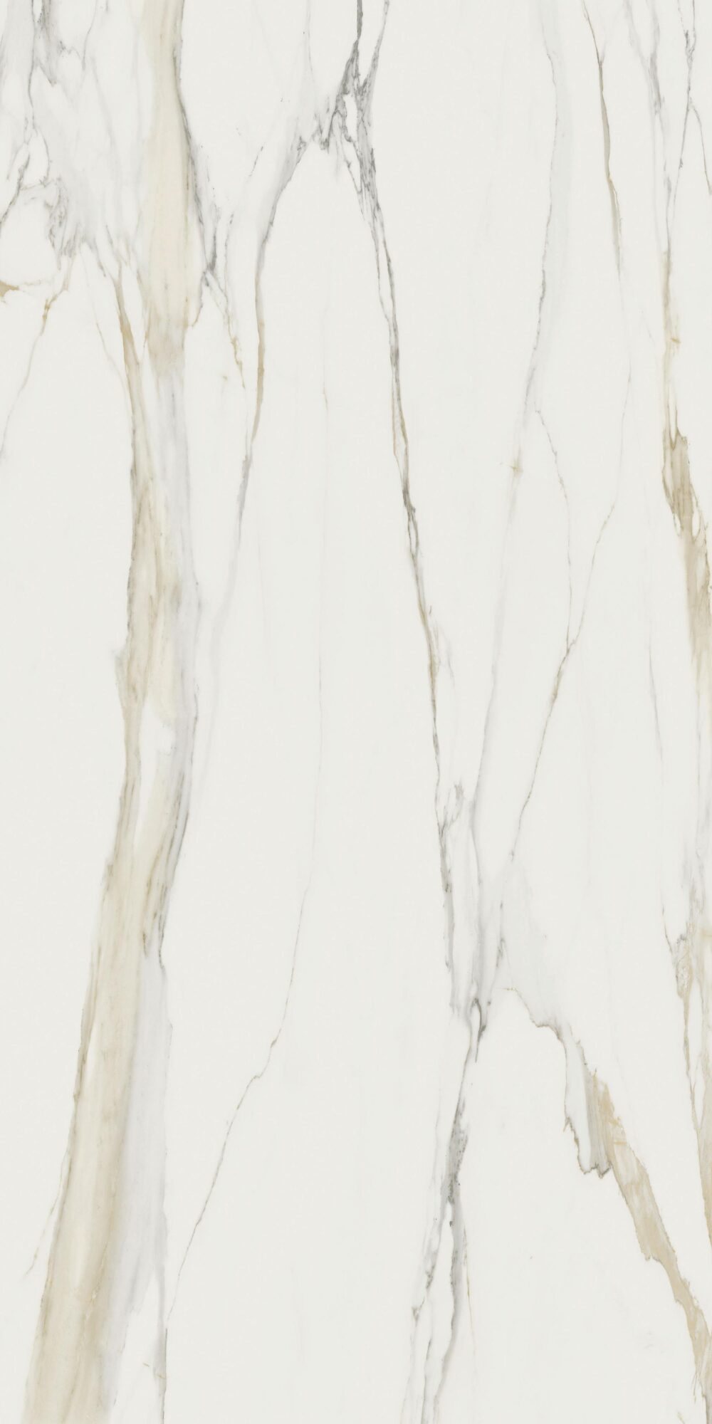Florim Stone Marble Calacatta Gold A