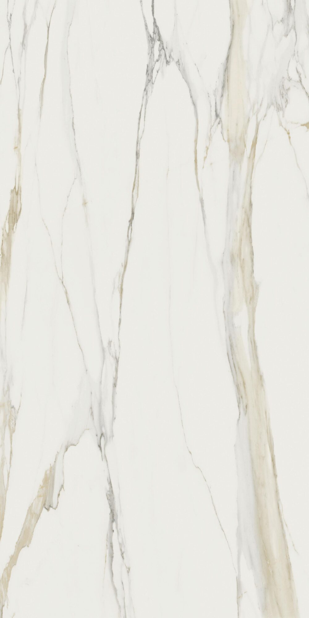 Florim Stone Marble Calacatta Gold B